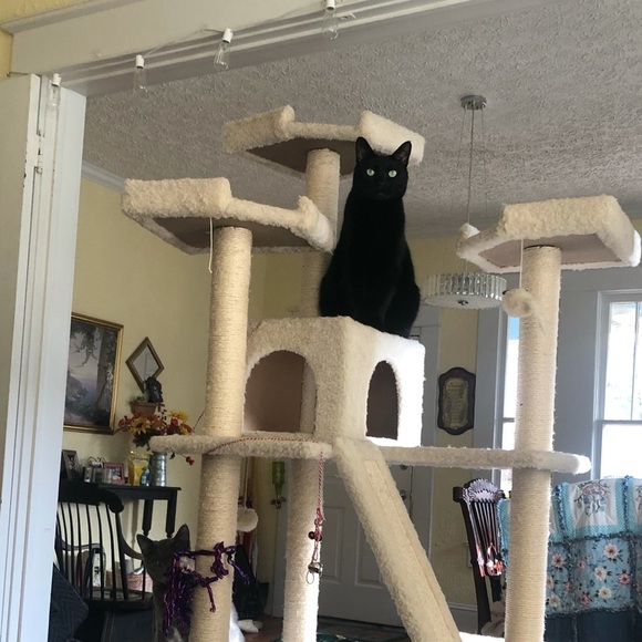 Meet your Posher, Allison - Picture 3 of 8